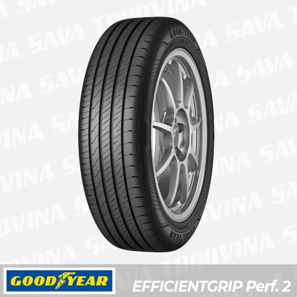A.GUMA 205-55R16 EFFIGRIP PERF.2 91H, GOODYEAR